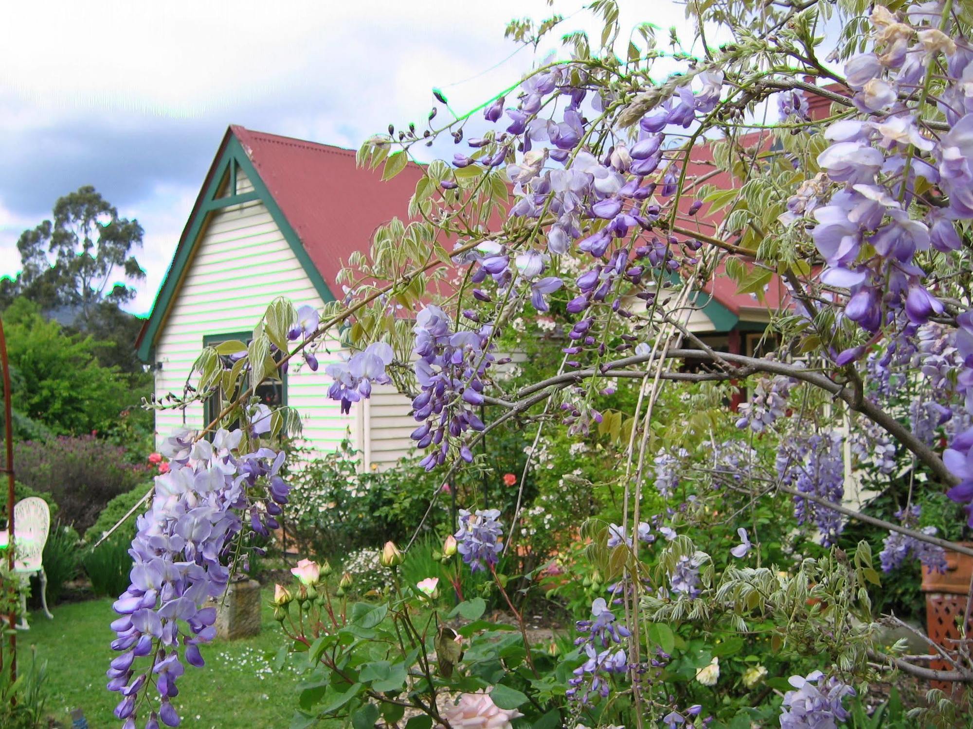مبيت وإفطار Grove Crabtree House المظهر الخارجي الصورة