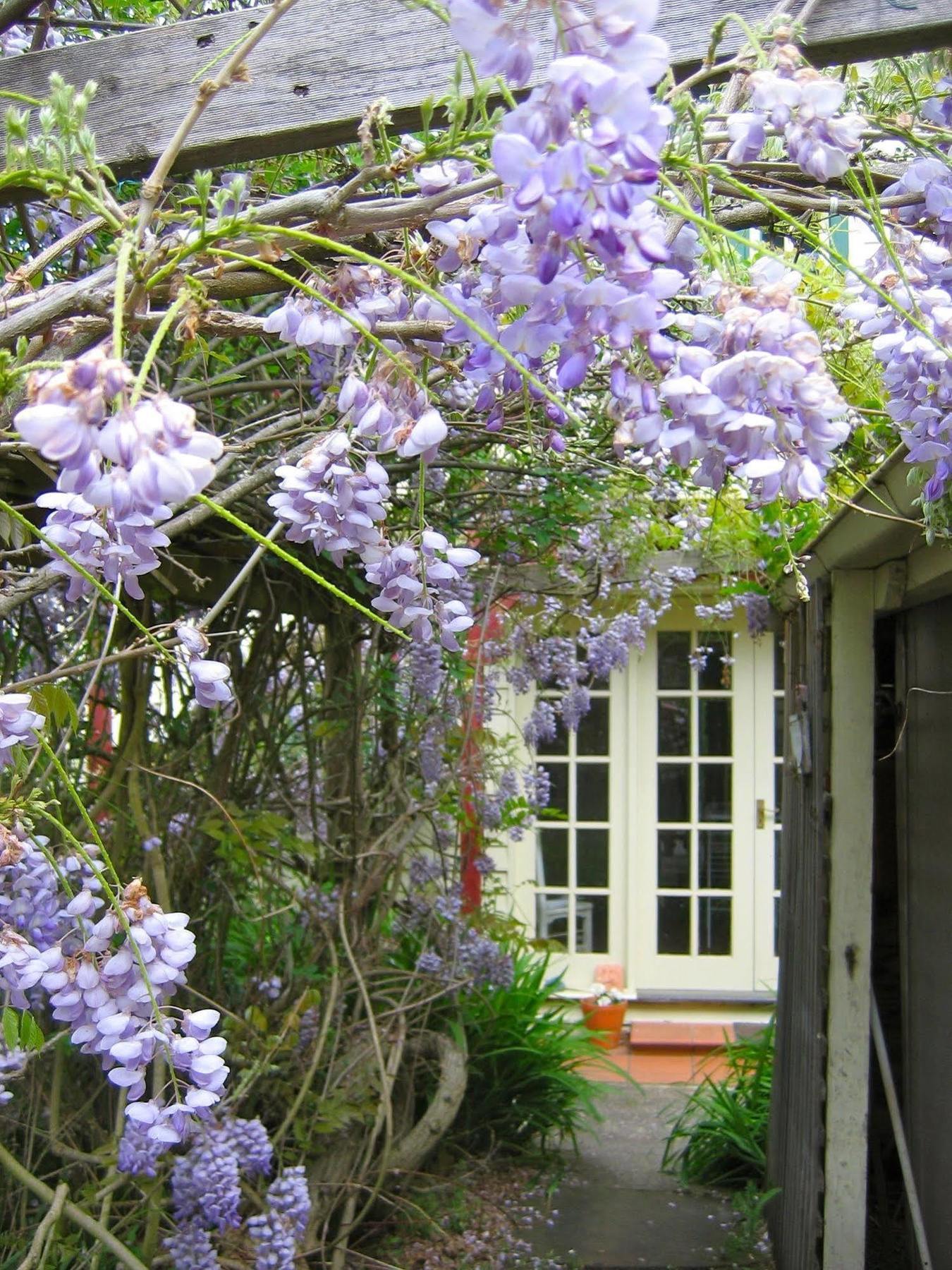 مبيت وإفطار Grove Crabtree House المظهر الخارجي الصورة