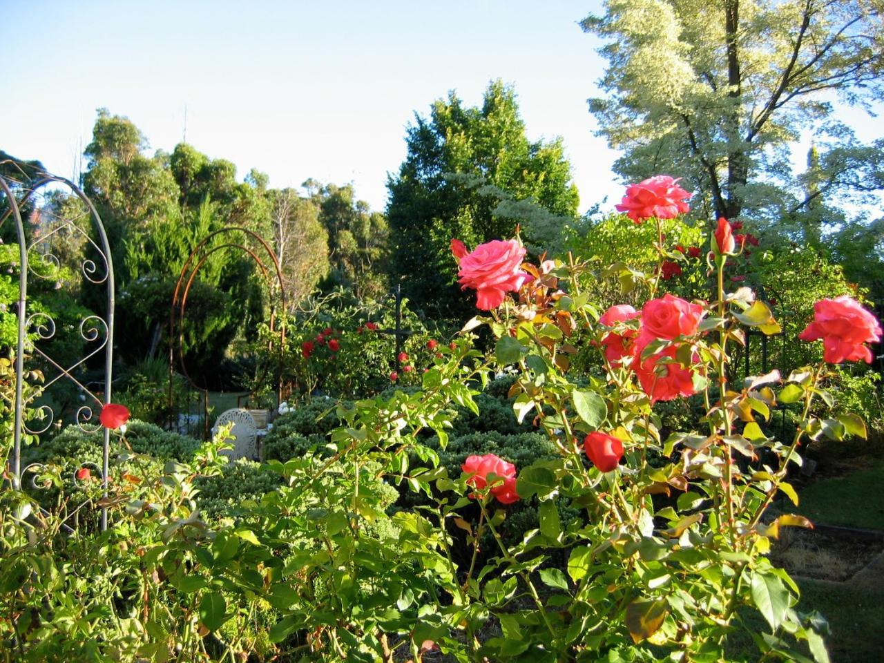 مبيت وإفطار Grove Crabtree House المظهر الخارجي الصورة