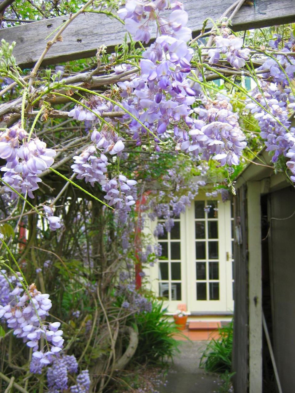 مبيت وإفطار Grove Crabtree House المظهر الخارجي الصورة